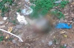 Stray dogs feed on corpse of infant inside govt hospital premises